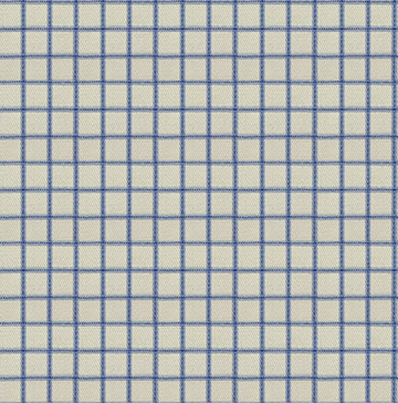Blue White Checkered